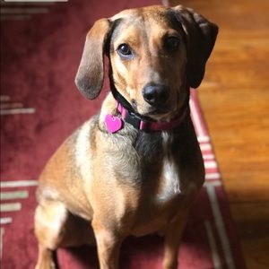 Meet your Posher, Elizabeth